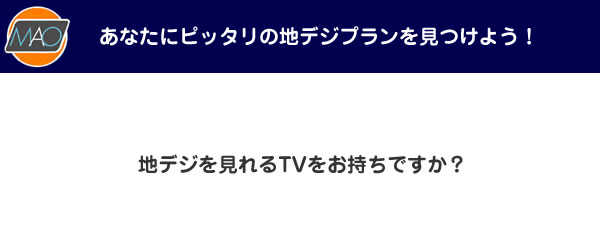 地デジを見れるTVをお持ちですか？